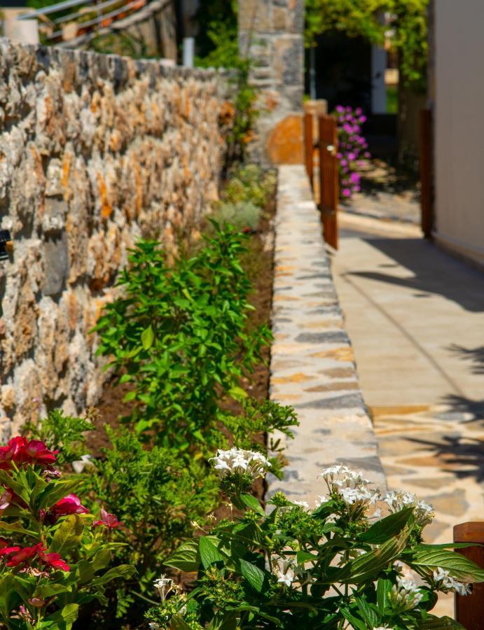 הוילה Ágios Nikólaos Eleni'S Cozy House מראה חיצוני תמונה